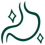 <p>Gut & Digestive <br/>Comfort</p>